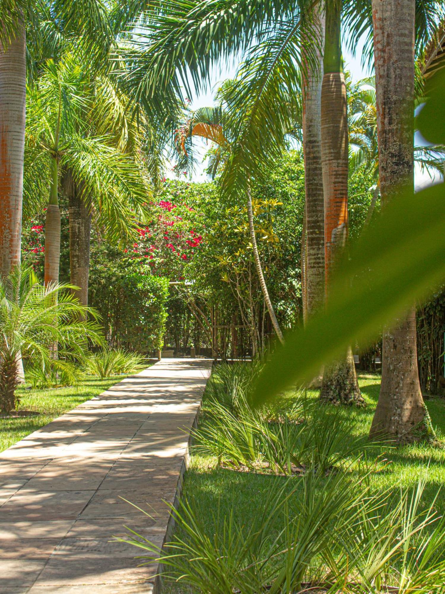 Sunshine Praia Hotel Porto Seguro Buitenkant foto